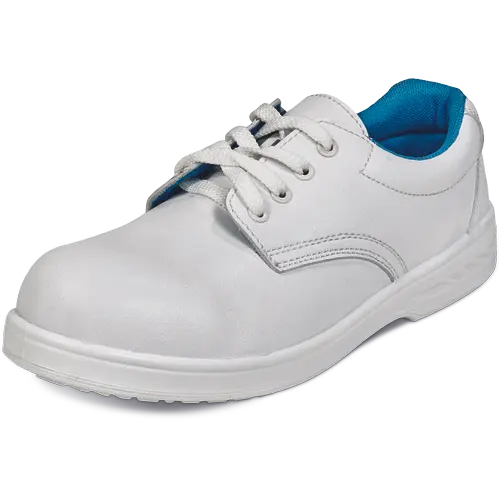 RAVEN S2 SRC pantofi - imagine 1
